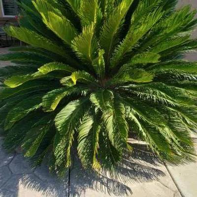 Resized952021072395164038 24882ff5 1920w