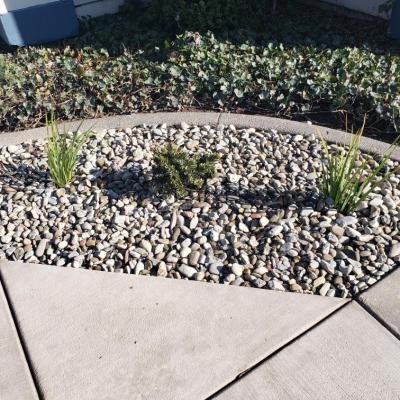 Resized952022020795093305 1920w